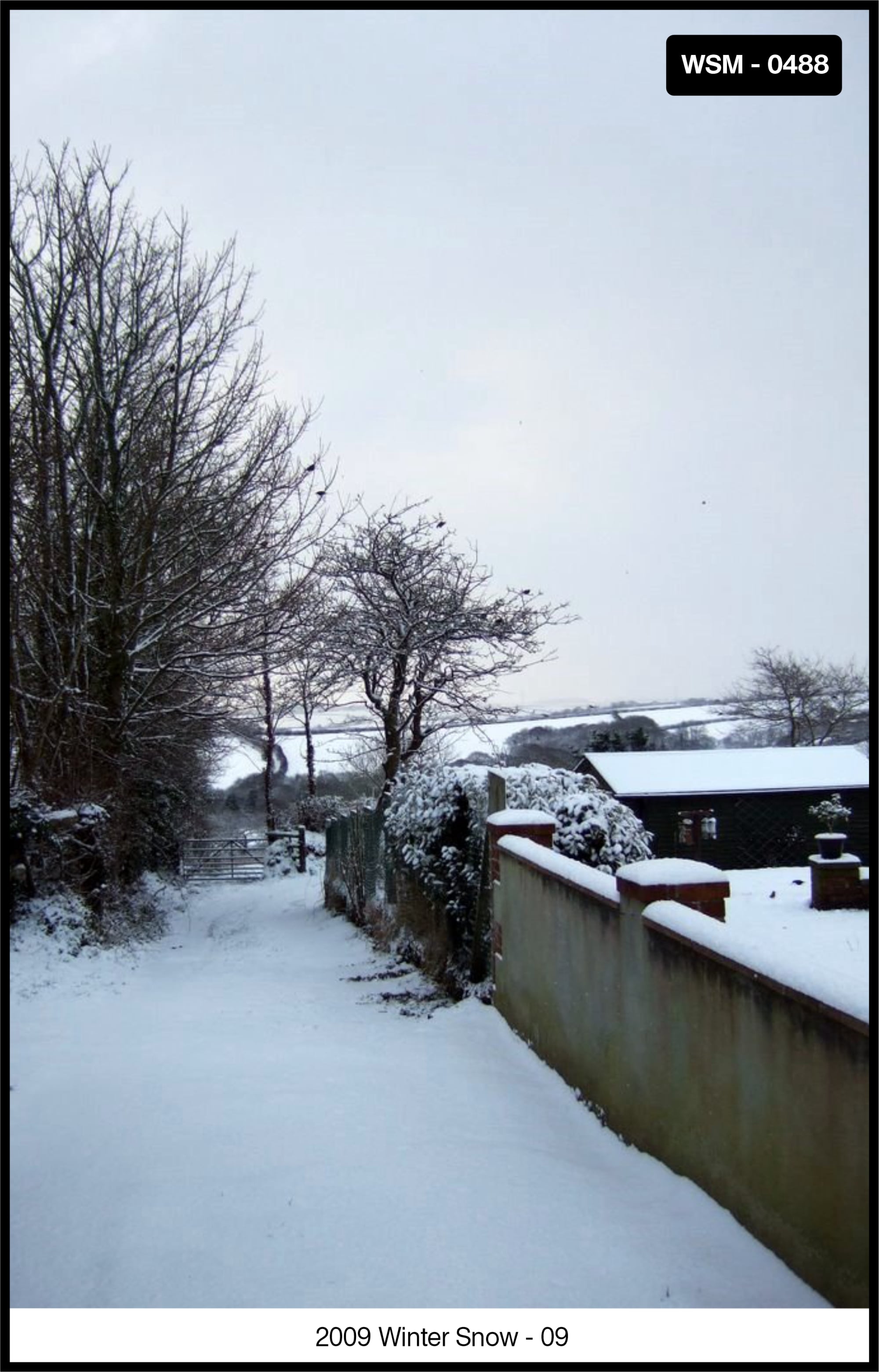 Week St Mary, Nth Cornwall, UK